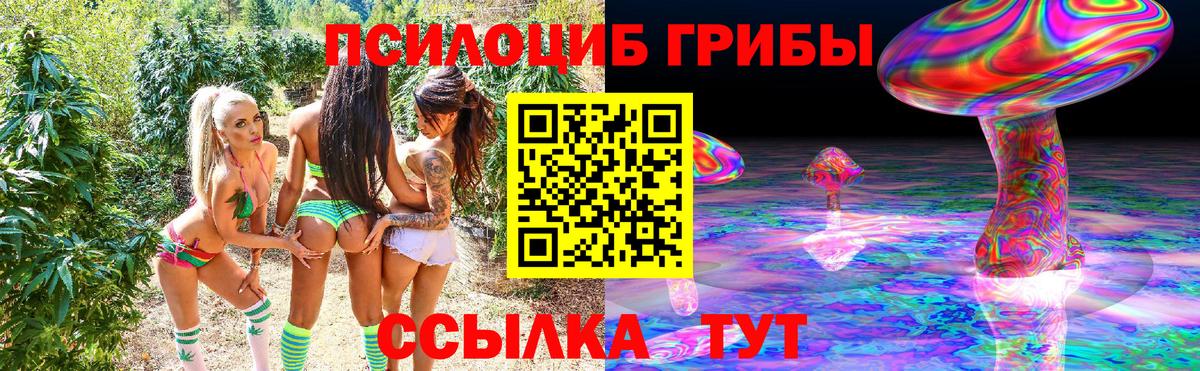 Псилоцибиновые грибы GOLDEN TEACHER Калининград
