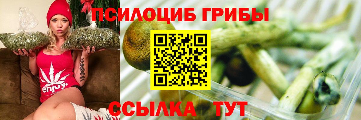 Галлюциногенные грибы GOLDEN TEACHER  Псилоцибиновые грибы мицелий  Вход с VPN  Калининград 